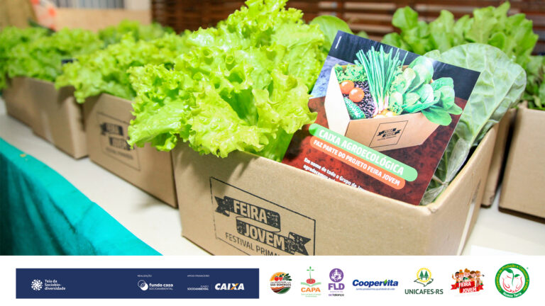 Leia mais sobre o artigo Juventude cooperativista conquista aprovação em edital com projeto agroecológico e cultural