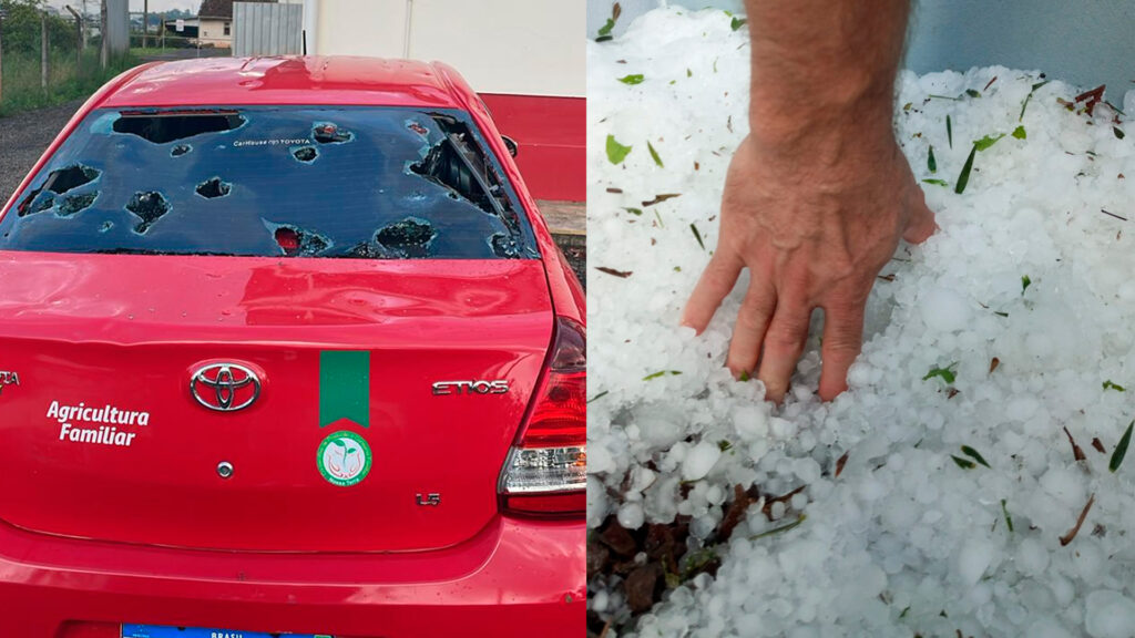 Leia mais sobre o artigo Cooperativa Nossa Terra mobiliza ações solidárias após temporal em Erechim