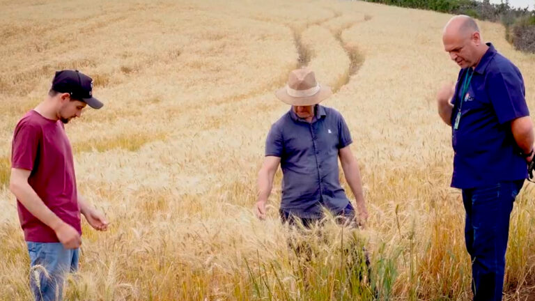 Leia mais sobre o artigo Inovação e Sustentabilidade: Como a Cooperativa Nossa Terra lidera a transição agroecológica com o Projeto Bem Cultivar